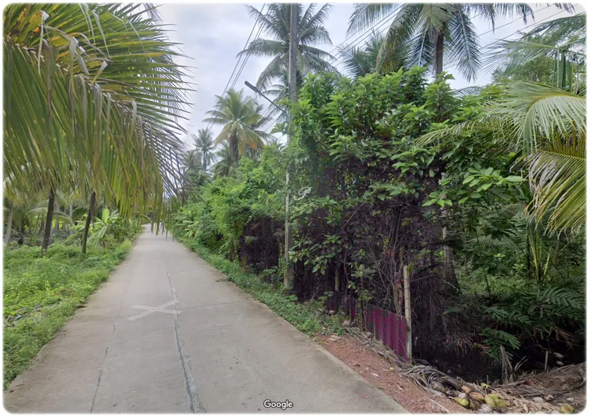 ขายที่สวน พร้อมบ้านทรงไทย 2หลัง ติดน้ำ 3ด้าน มีหิ่งห้อยช่วงค่ำ ใกล้กรุงเทพ เหมาะสำหรับการพักผ่อนยามเกษียณ 2