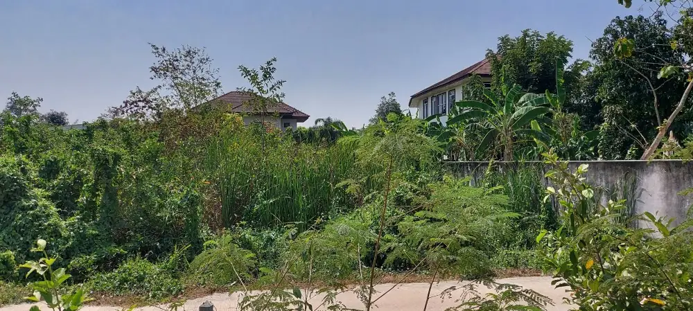 ขายที่ดิน เนื้อที่ 203.5 ตร.ว ถนนเพชรเกษม ซอยวิศวะเสนานิคม ต.ดอนตะโก อำเภอเมืองราชบุรี จ.ราชบุรี ติดถนนคอนกรีตสาธารณะกว้าง 6 เมตร เดินทางสะดวก เข้าออกได้หลายทาง ใกล้ถนนเพชรเกษม และถนนเลี่ยงเมือง 3