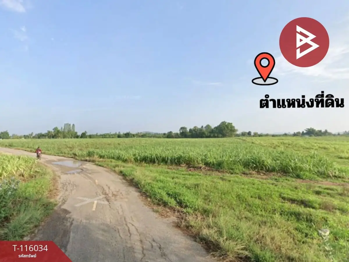 ขายที่ดิน เนื้อที่ 13 ไร่ 2 งาน 5 ตร.วา โพธาราม ราชบุรี 2