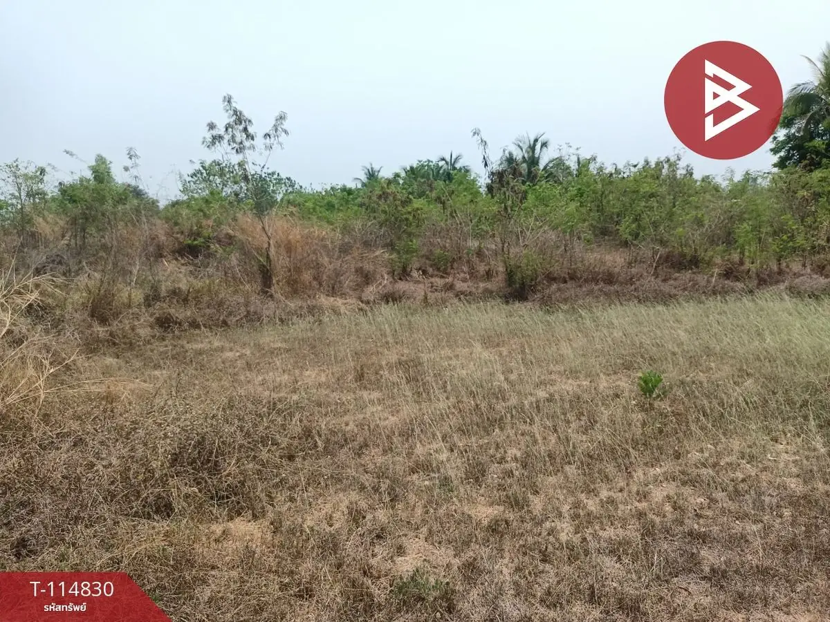 ขายที่ดิน 2 ไร่ จอมบึง ราชบุรี