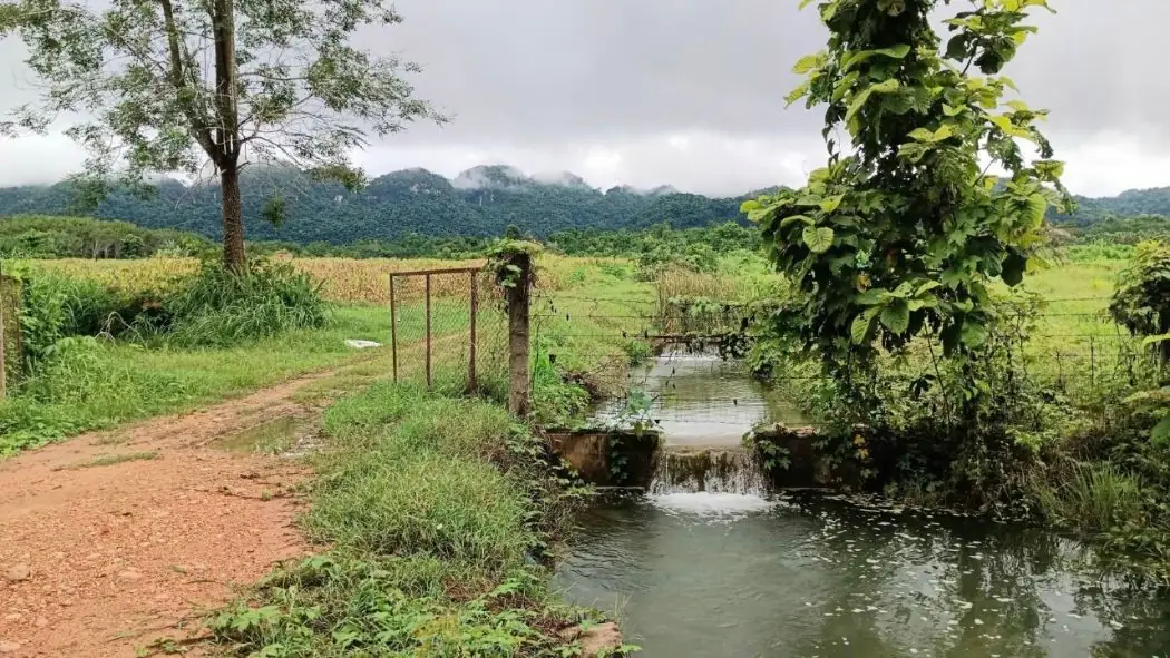 ขาย ที่ดิน บ้านไร่อิงธาร 54 ไร่ 240 ตร.วา มีธารน้ำในแปลง ติดถนนลาดยาง ลิ่นถิ่น ทองผาภูมิ 2
