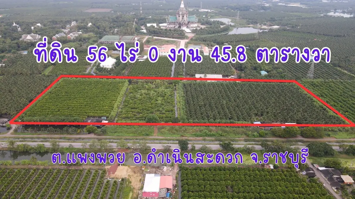 ขายที่ดินสวย เป็นที่สวน ติดหลังวัดหลวงพ่อสด ด้านหน้าติดถนนคลองชลประทาน ยาวประมาณ 600 เมตร ตำบลแพงพวย อำเภอดำเนินสะดวก จังหวัดราชบุรี ทั้งหมด 56 ไร่เศษ 3