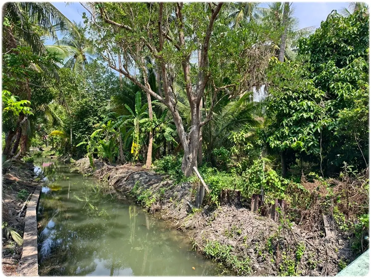 ขายที่สวน พร้อมบ้านทรงไทย 2หลัง ติดน้ำ 3ด้าน มีหิ่งห้อยช่วงค่ำ ใกล้กรุงเทพ เหมาะสำหรับการพักผ่อนยามเกษียณ 3