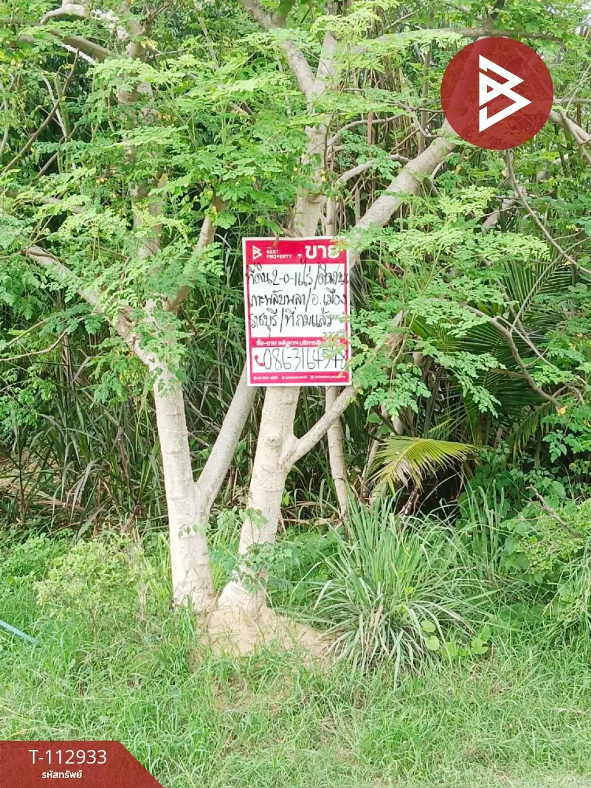 ขายที่ดิน เนื้อที่ 2 ไร่ 16 ตร.วา เกาะพลับพลา ราชบุรี 3