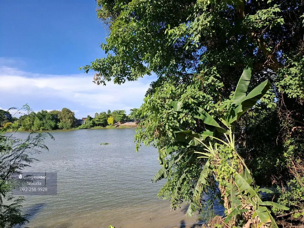 ที่ดินริมแม่น้ำแม่กลอง ราชบุรี ราคาเบาๆ 7 ล้าน หน้าติดถนน หลังติดน้ำ ข้างลำคลอง ขนาด 353 ตรว 2