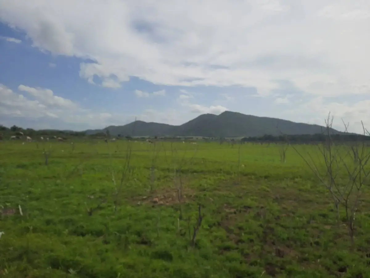ขายที่ดินใกล้สนานกอล์ฟ Dragon Hills & Country Clubs