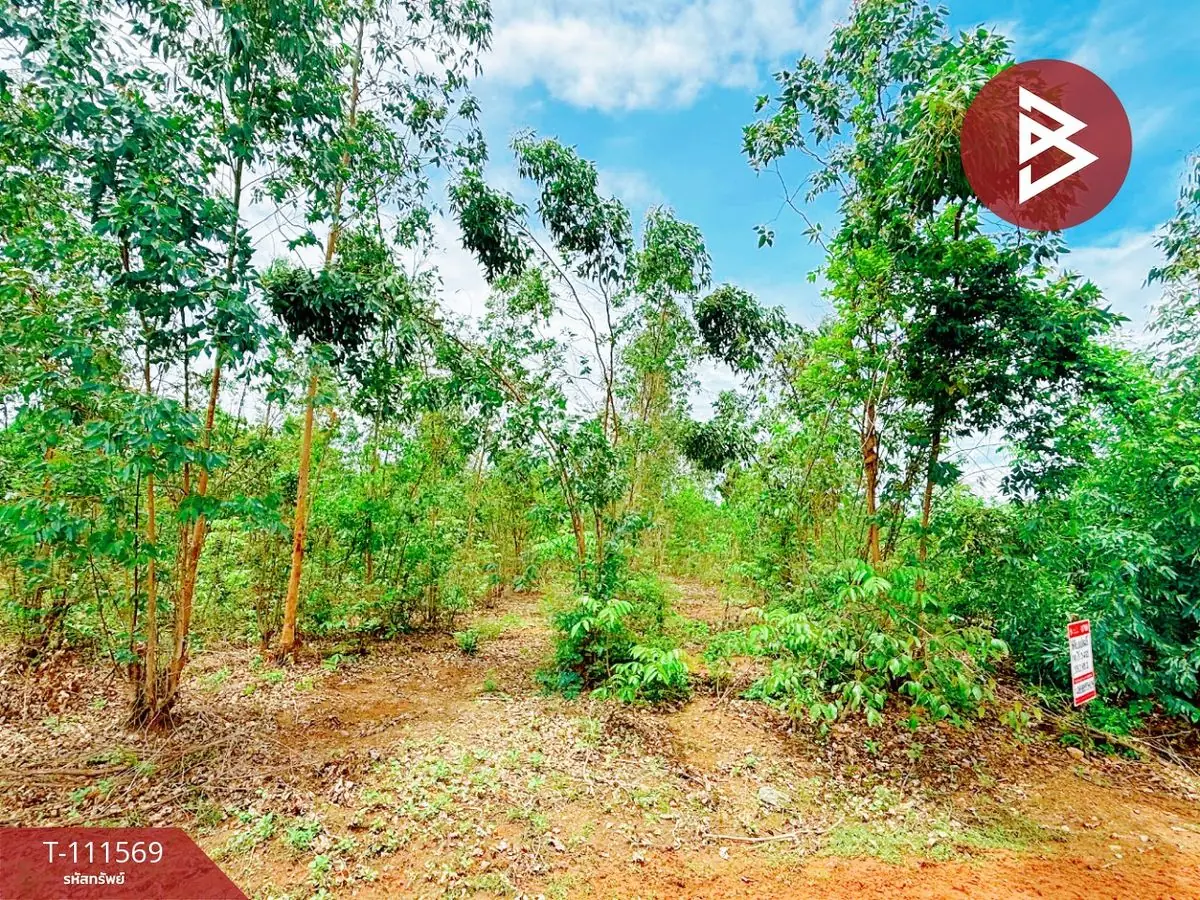 ขายที่ดิน โฉนดครุฑแดง เนื้อที่ 14 ไร่ 3 งาน 33.2 ตร.วา ปากท่อ ราชบุรี