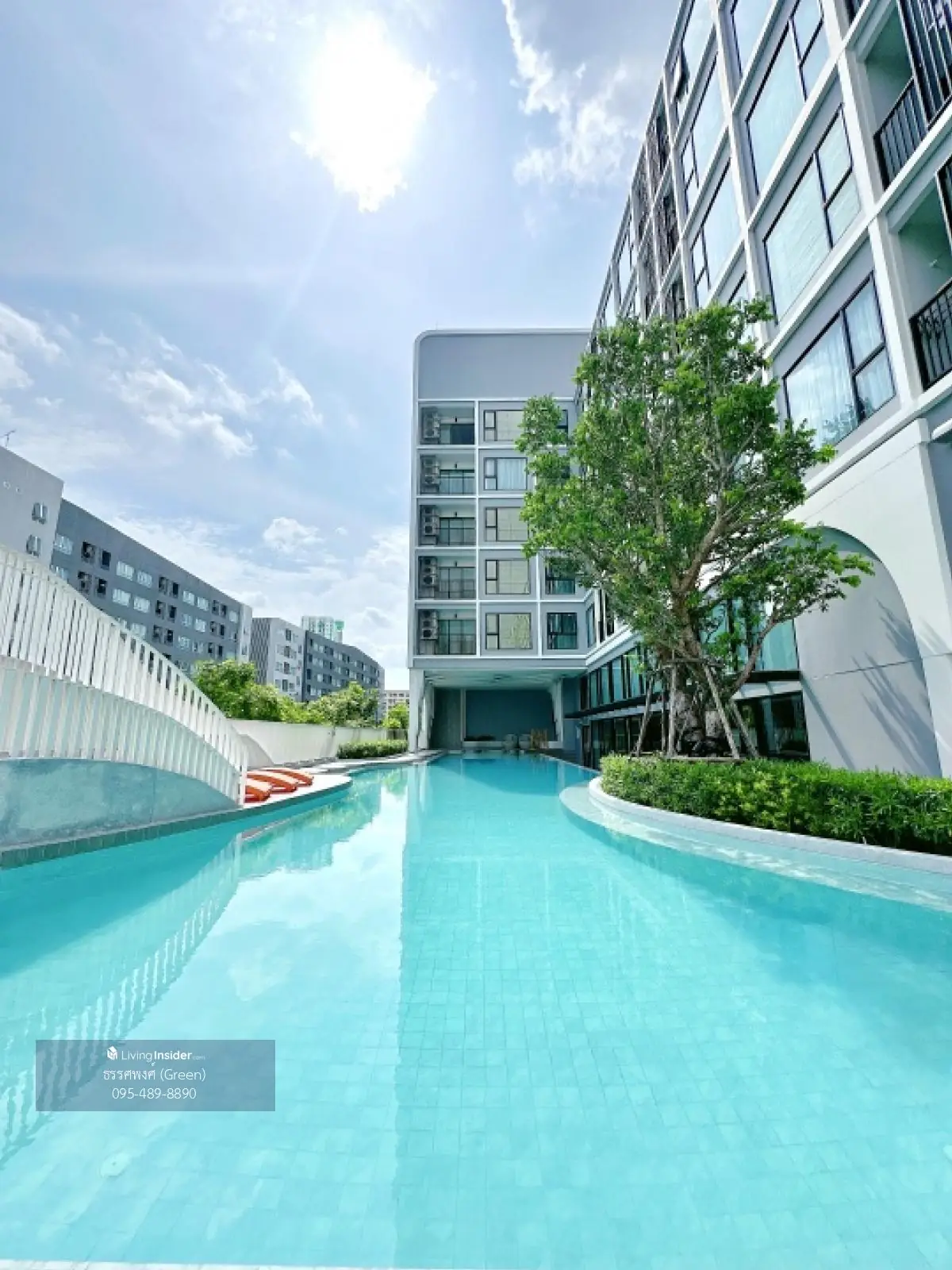 𝗞𝗮𝘃𝗲 𝗦𝗲𝗲𝗱 𝗞𝗮𝘀𝗲𝘁 (เคฟ ซี้ด เกษตร) ผ่อนถูก 7,900/เดือน ฟรีเงินดาวน์ 0 บาท ผ่อนถูกกว่าเช่า ขายขาดทุน 095-489-8890 Green