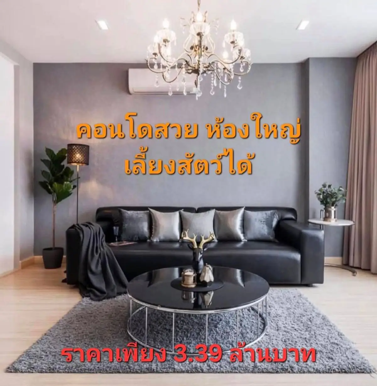 ขายถูก คอนโดเลี้ยงสัตว์ได้ ใจกลางลาดพร้าว 101 – ห้องใหญ่ แต่งครบ พร้อมอยู่
