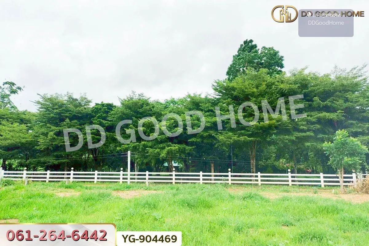 YG-904469 ที่ดินพร้อมสิ่งปลูกสร้างไทรโยค 1 ไร่ 342.2 ตร.ว. กาญจนบุรี ใกล้วัดเขาน้อยชินราช 3