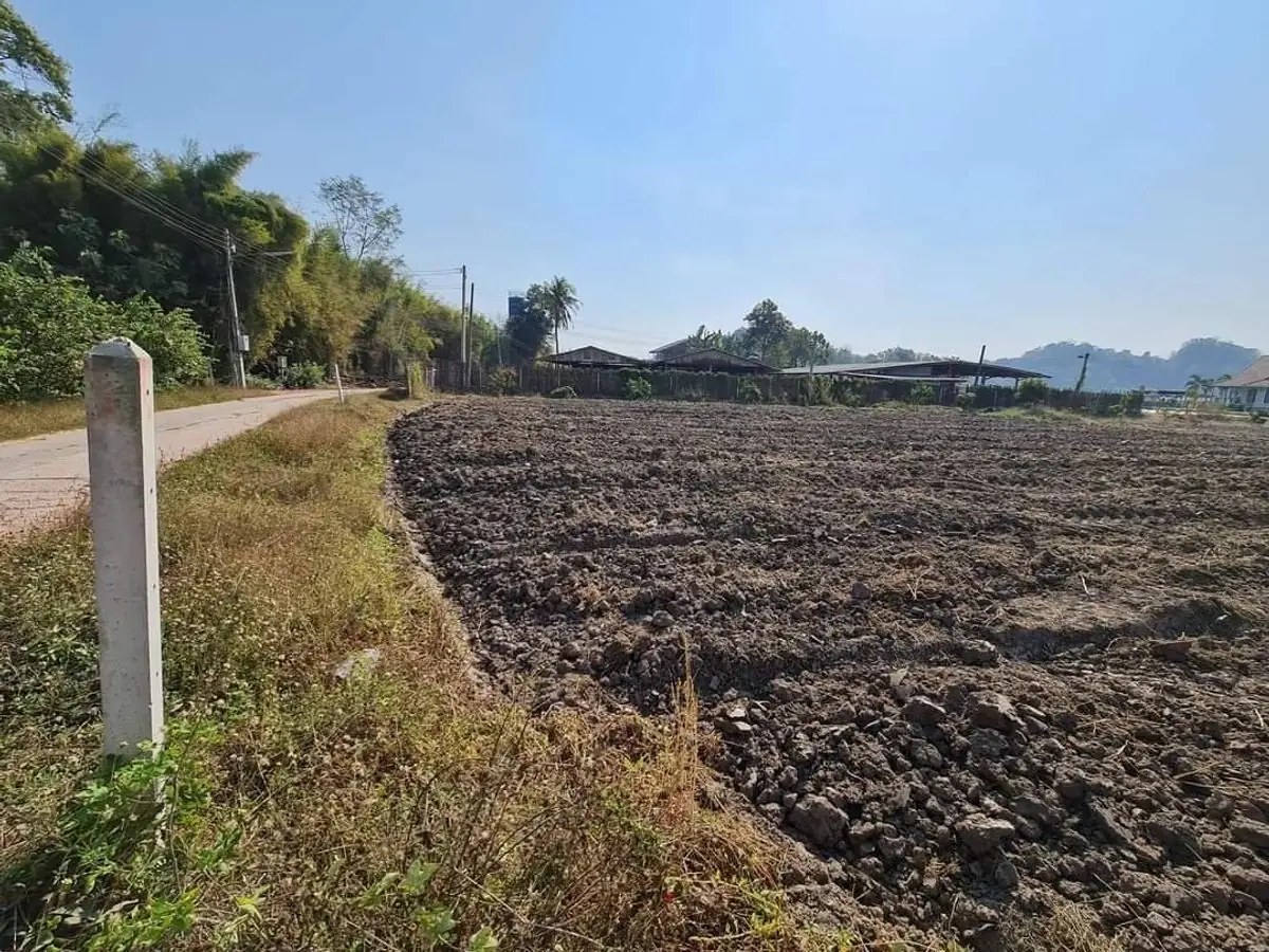 ขายที่ดินแปลงมุม ติดถนน3ด้าน ไฟฟ้า น้ำบาดาลพร้อมใช้ ที่ดินลงทุน ที่ดินราชบุรี 2