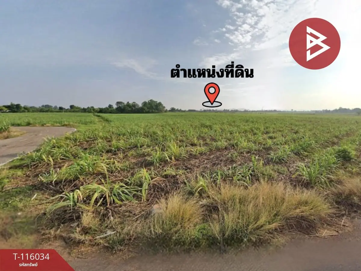 ขายที่ดิน เนื้อที่ 13 ไร่ 2 งาน 5 ตร.วา โพธาราม ราชบุรี 3