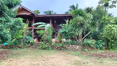 ขาย ที่ดิน บ้านสวนปาล์ม 21 ไร่ 48 ตร.วา ใกล้แม่น้ำแควน้อย ติดถนน บ้านแก่งจอ อ.ไทรโยค กาญจนบุรี 3